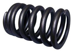 Crown Automotive Valve Springs J3213609