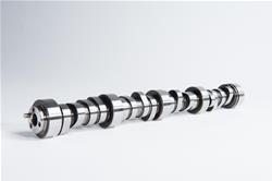 Cam Motion Camshafts 03-01-0187