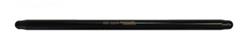 Cam Motion Pushrods, Valvetrain P178251210