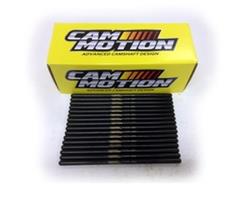 Cam Motion Pushrods, Valvetrain PS380751219H