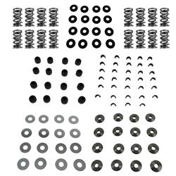 Cam Motion Valve Springs VSK443202