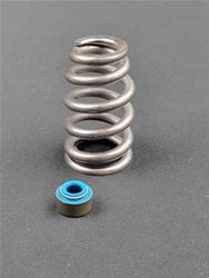 Cam Motion Valve Springs VSK915327