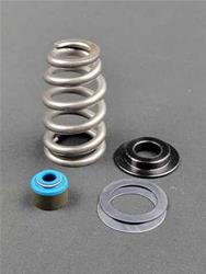 Cam Motion Valve Springs VSK915701