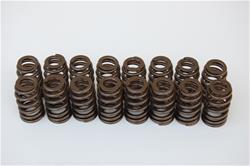 Cam Motion Valve Spring Locators STS142303