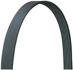 Dayco Accessory Belts 5080710DR