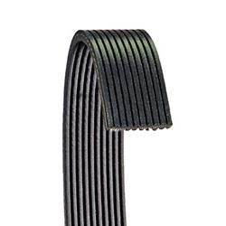 Dayco Double-Sided Poly Rib Serpentine Belts for 2011-2013 GU7, GU8 - 6100741