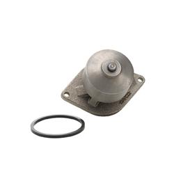 Dayco Water Pumps DP1000