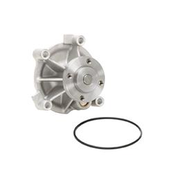 Dayco Water Pumps for 1995-2002 CONTINENTAL - DP1017