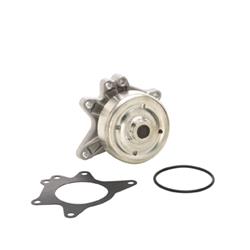 Dayco Water Pumps DP813