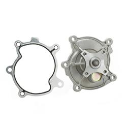 Dayco Water Pumps DP981