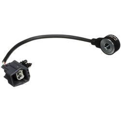 Delphi Ignition Knock Sensors AS10200