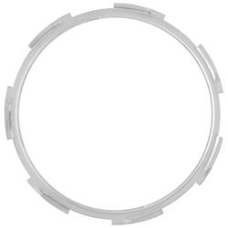 Delphi Fuel Tank Lock Rings FA10007