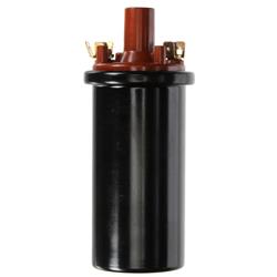 Delphi Ignition Coils GN10527