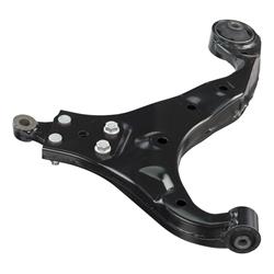 Delphi Control Arms for 2005-2010 SPORTAGE, 2005-2009 TUCSON - TC3199