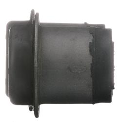 Delphi Control Arm Bushings TD4066W