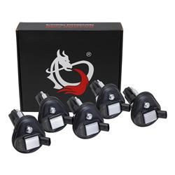 Dragon Fire Performance Ignition Coils DFC1033-5