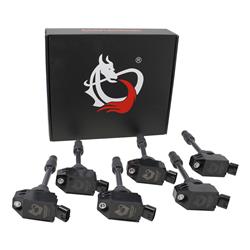 Dragon Fire Performance Ignition Coils DFC1065-6