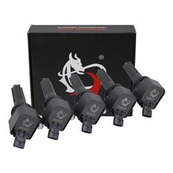 Dragon Fire Performance Ignition Coils DFC1086-5