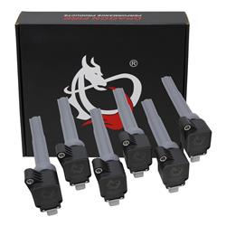 Dragon Fire Performance Ignition Coils DFC1102-6