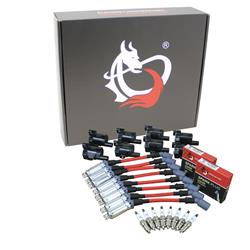 Dragon Fire Performance Ignition Coils KIT-1001BK