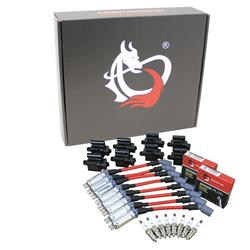 Dragon Fire Performance Ignition Coils KIT-1002BK