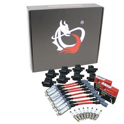 Dragon Fire Performance Ignition Coils KIT-1003BK