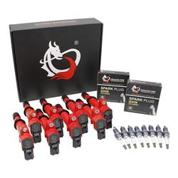 Dragon Fire Performance Ignition System Combo Kits KIT-1587