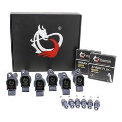 Dragon Fire Performance Ignition Coils KIT-1594
