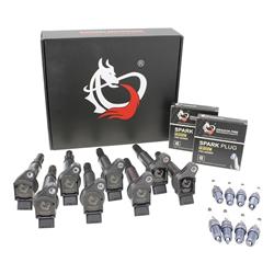 Dragon Fire Performance Ignition Coils KIT-1595