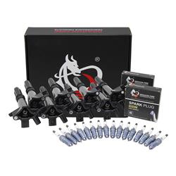 Dragon Fire Performance Ignition Coils KIT-1604