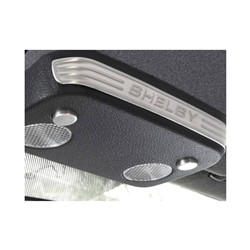 Drake Map Light Trim for 2005-2014 MUSTANG - 5S3Z-63519A70-A