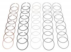 D.S.S. DMR-Series Piston Rings RS-DM200-3661