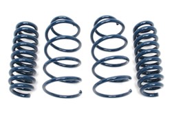 Dinan Performance Spring Sets D100-0497