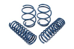 Dinan Performance Spring Sets for 2012-2015 335I - D100-0910