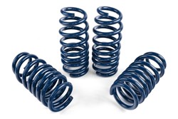 Dinan Performance Spring Sets for 2020-2026 X5, X6 - D100-0936