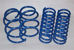 Dinan Performance Spring Sets D100-0928
