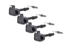 Dinan Ignition System Combo Kits D655-0001