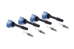 Dinan Ignition System Combo Kits D655-0003