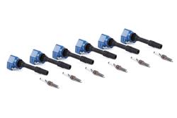 Dinan Ignition System Combo Kits D655-0006