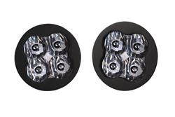 Diode Dynamics Light Bars, Light Pods and Fog Lights DD6943PNB