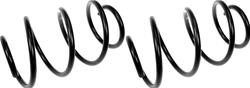 Dorman Premium Chassis Coil Springs for 2009-2014 MAXIMA, 2009-2012 MURANO - 566-096