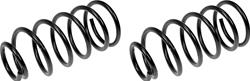 Dorman Premium Chassis Coil Springs for 2000-2006 SENTRA - 566-099