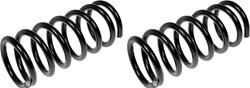 Dorman Premium Chassis Coil Springs for 1999-2004 ODYSSEY - 566-101