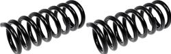 Dorman Premium Chassis Coil Springs for 1997-1999 RAM 1500 - 566-119