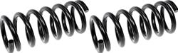 Dorman Premium Chassis Coil Springs for 1989 CAMARO, 1992 FIREBIRD - 566-161