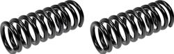 Dorman Premium Chassis Coil Springs for 2002-2005 RAM 1500 - 566-178