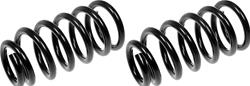 Dorman Premium Chassis Coil Springs for 2002-2011 CR-V - 566-205