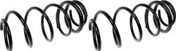 Dorman Premium Chassis Coil Springs 566-207