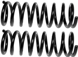 Dorman Premium Chassis Coil Springs 566-212