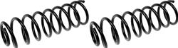 Dorman Premium Chassis Coil Springs for 1997-2004 WRANGLER - 566-251